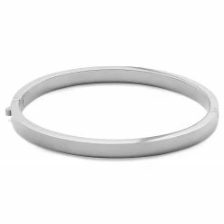 Lucleon Arie | Polished Silver-Tone Stainless Steel Bangle Bracelet