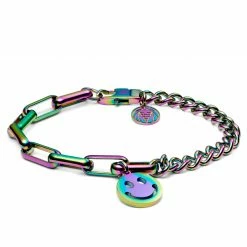 Lucleon Amager | Rainbow Stainless Steel Curb & Cable Chain Smiley Bracelet